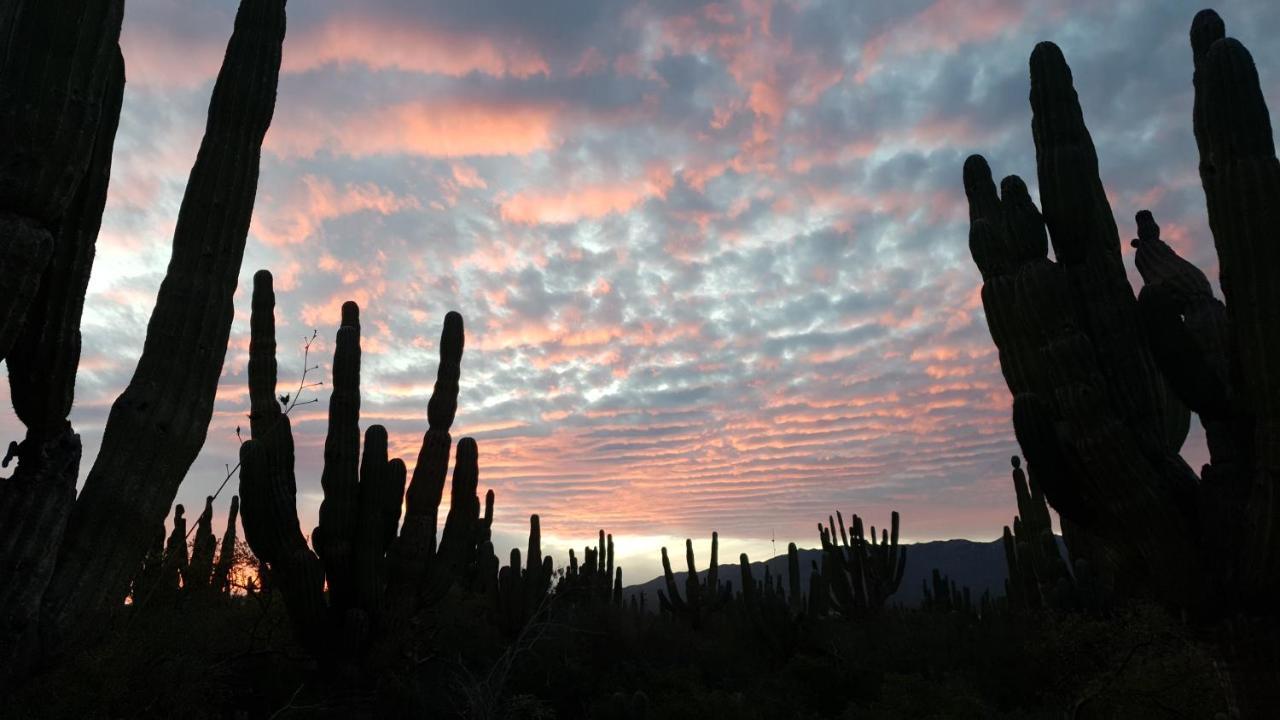 Chilochill Glamping Resort La Ventana Exterior photo